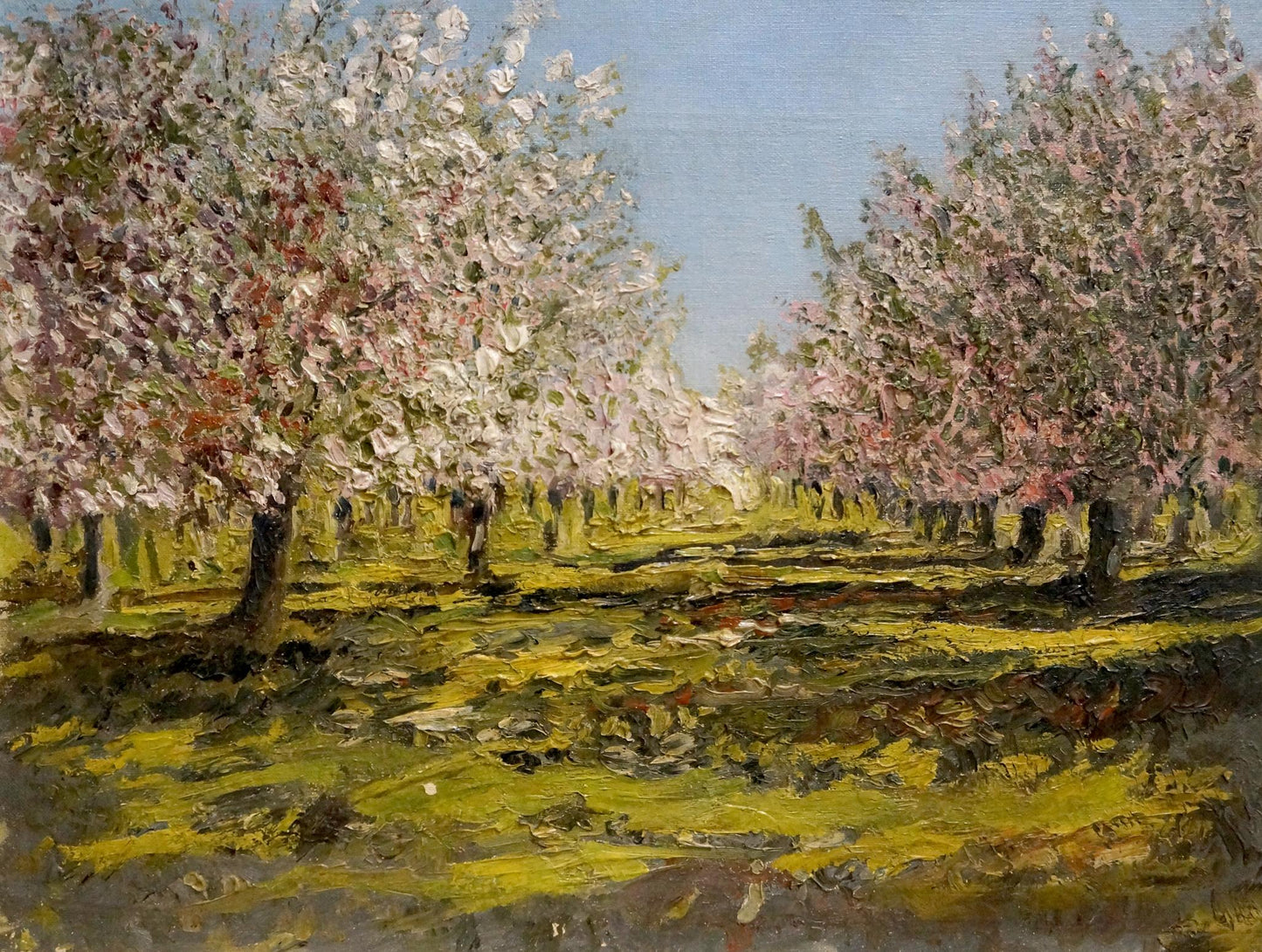 Oil painting Trees are blooming Nevkritiy Denis Nikiforovich