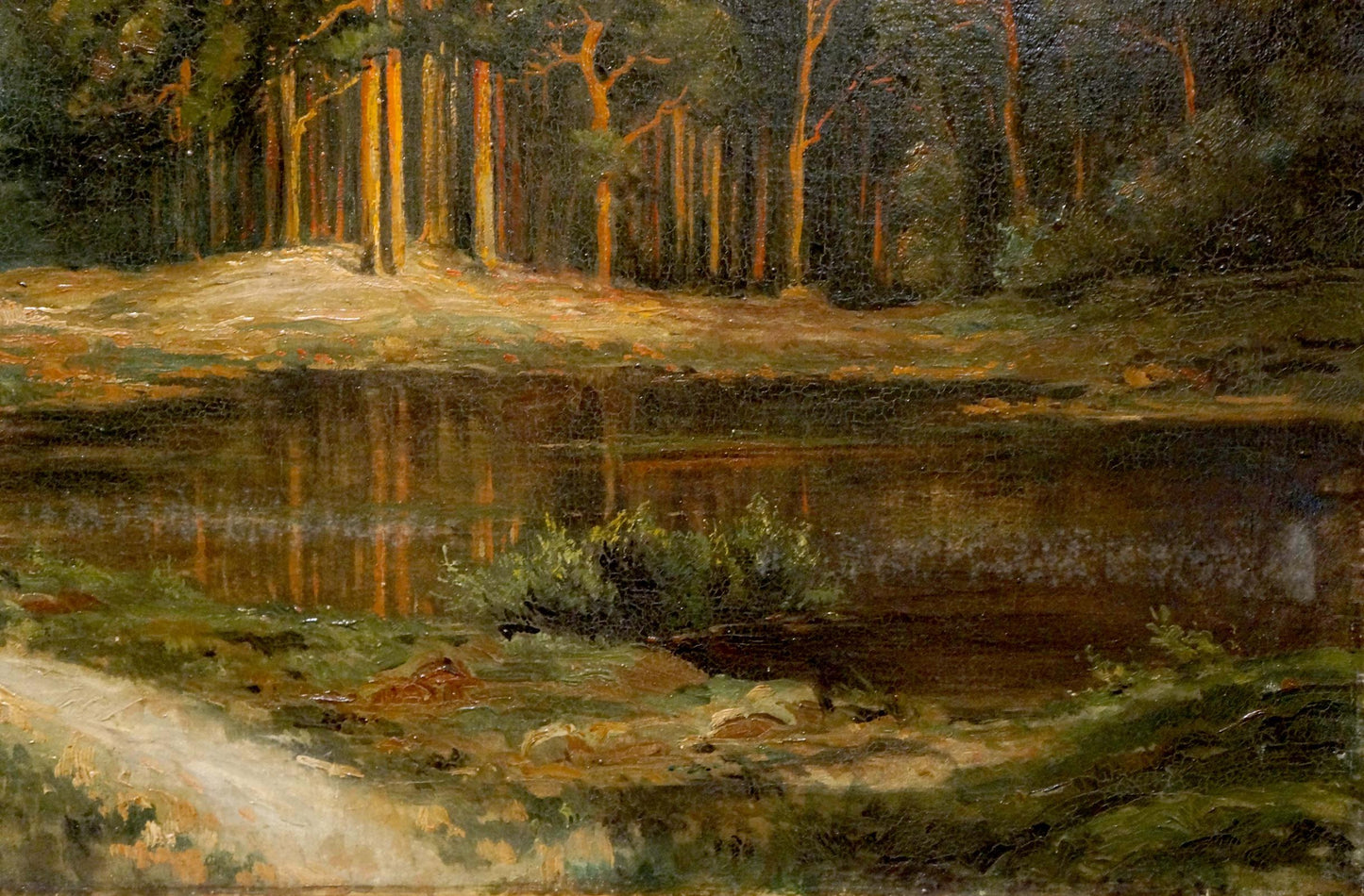 Oil painting Old forest