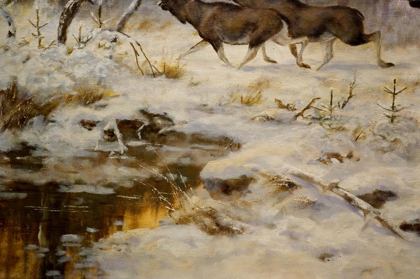 Oil painting Deer in the forest