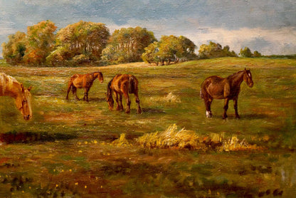 Oil painting Horses graze