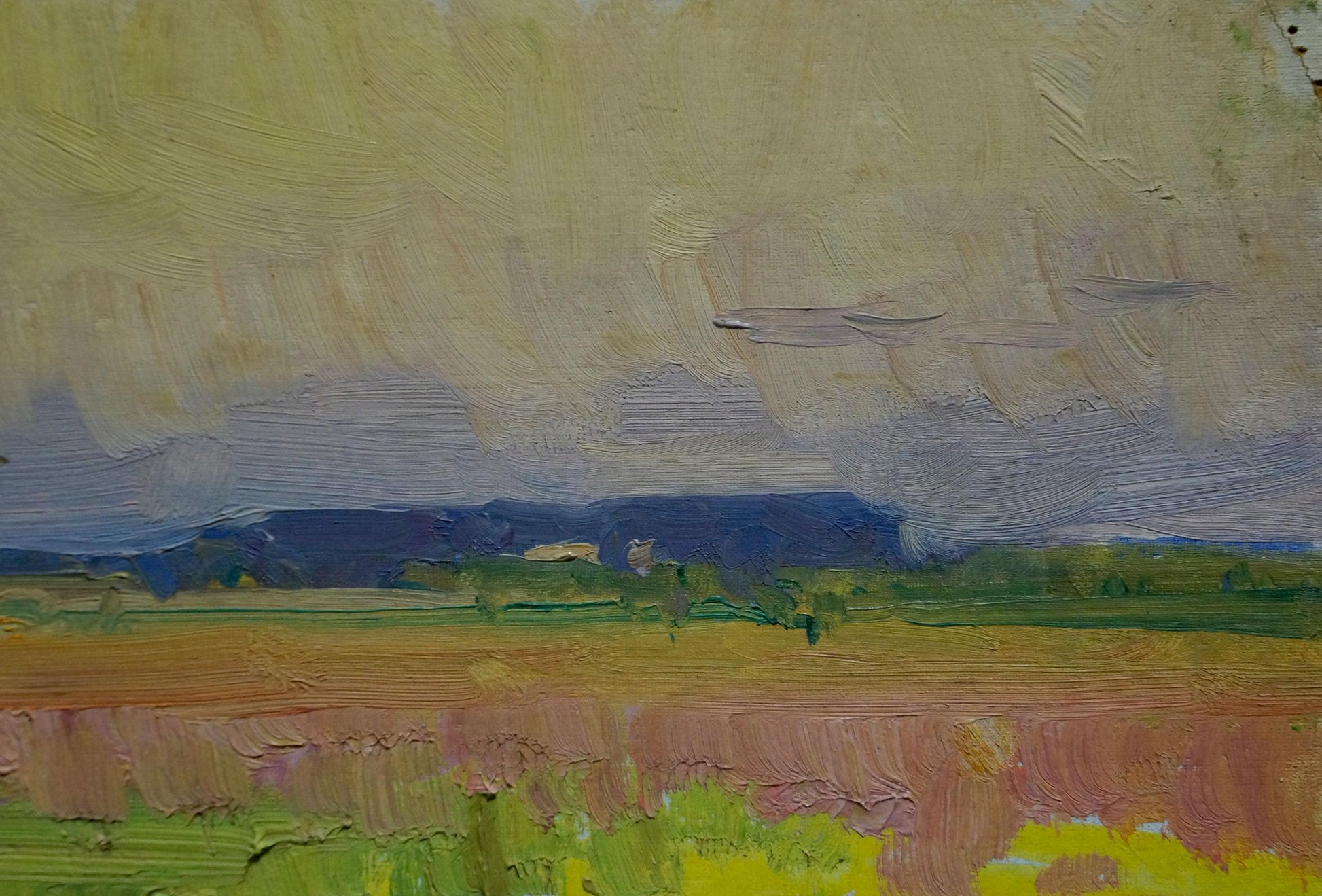 Leonty Filippovich Koshtelyanchuk's oil painting "Field Landscape"