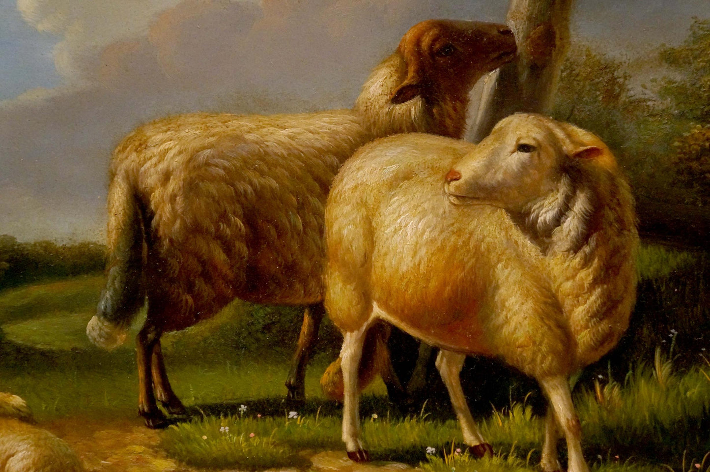 Oil painting Goats portrait