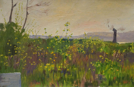 Oil painting Camomile field Chernikov Nikolay Vladimirovich
