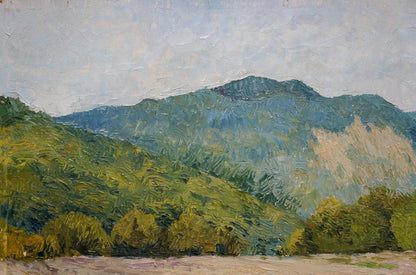 The mountain creek is the subject of an oil painting by an unknown artist
