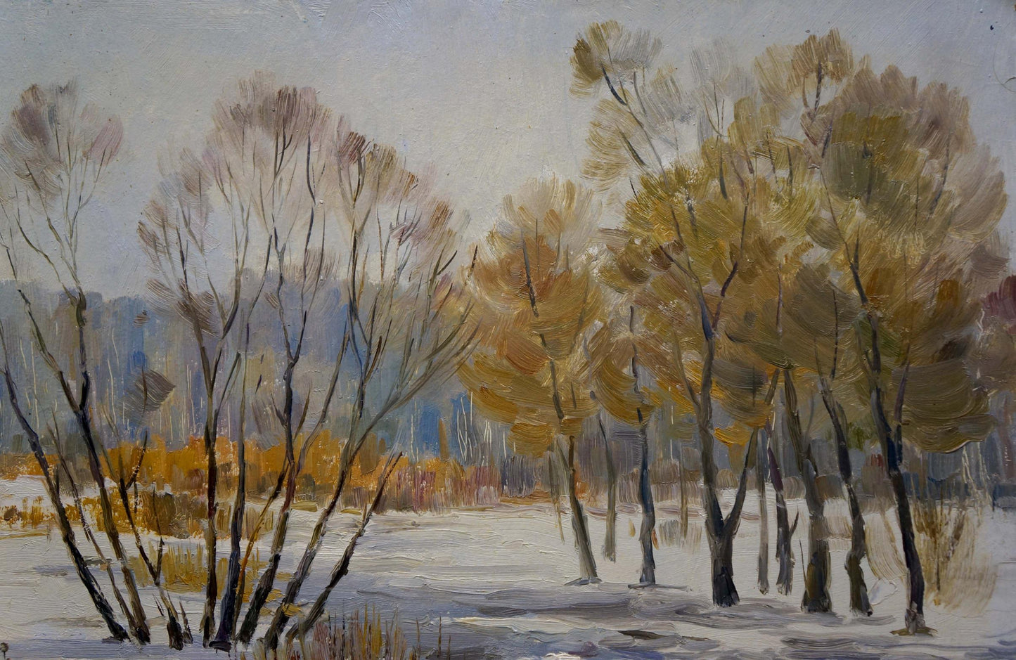 Oil painting Winter landscape Gaiduk Zinaida Kirillovna