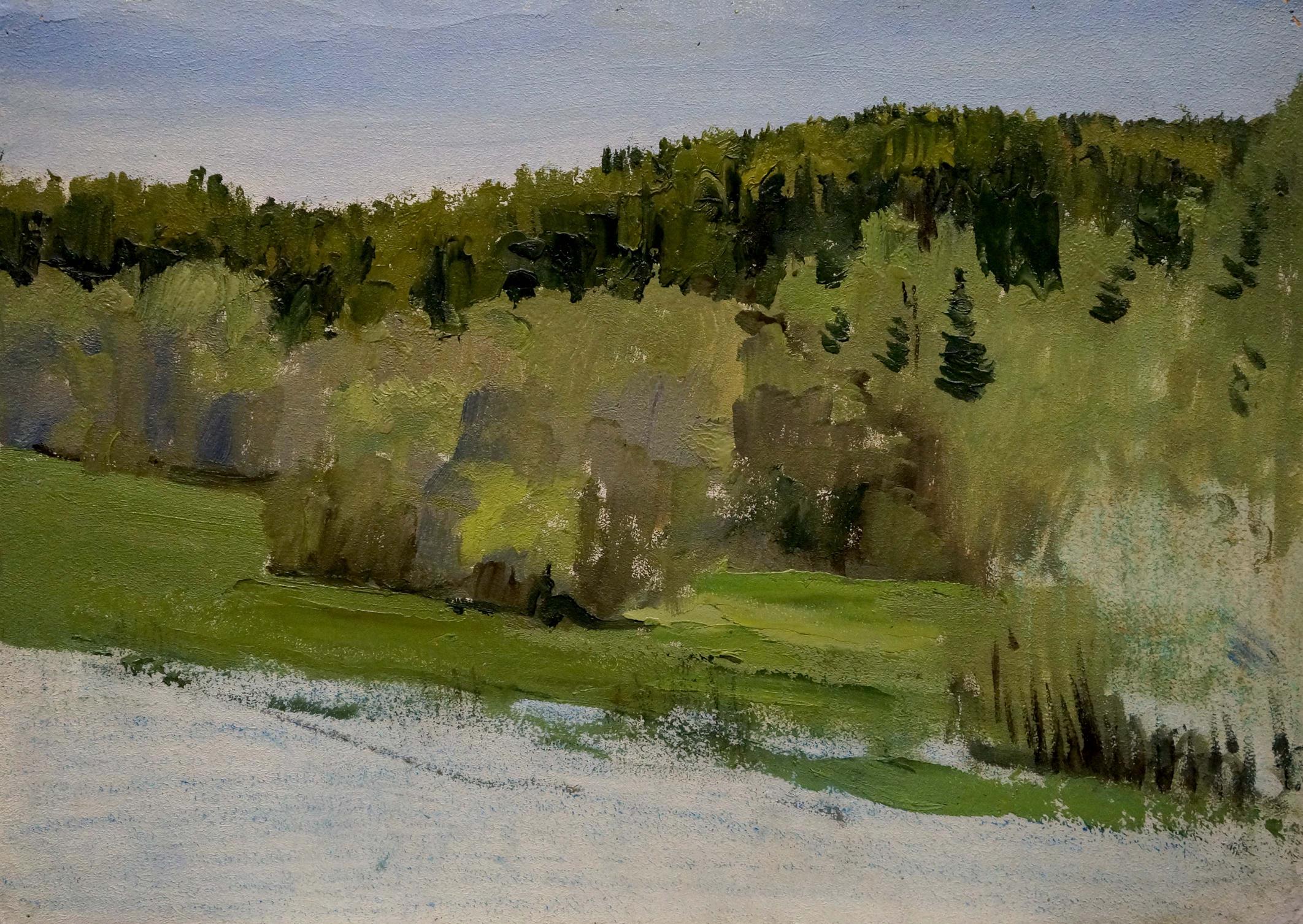 Oil painting Spring sketch Yakovlev B.N.