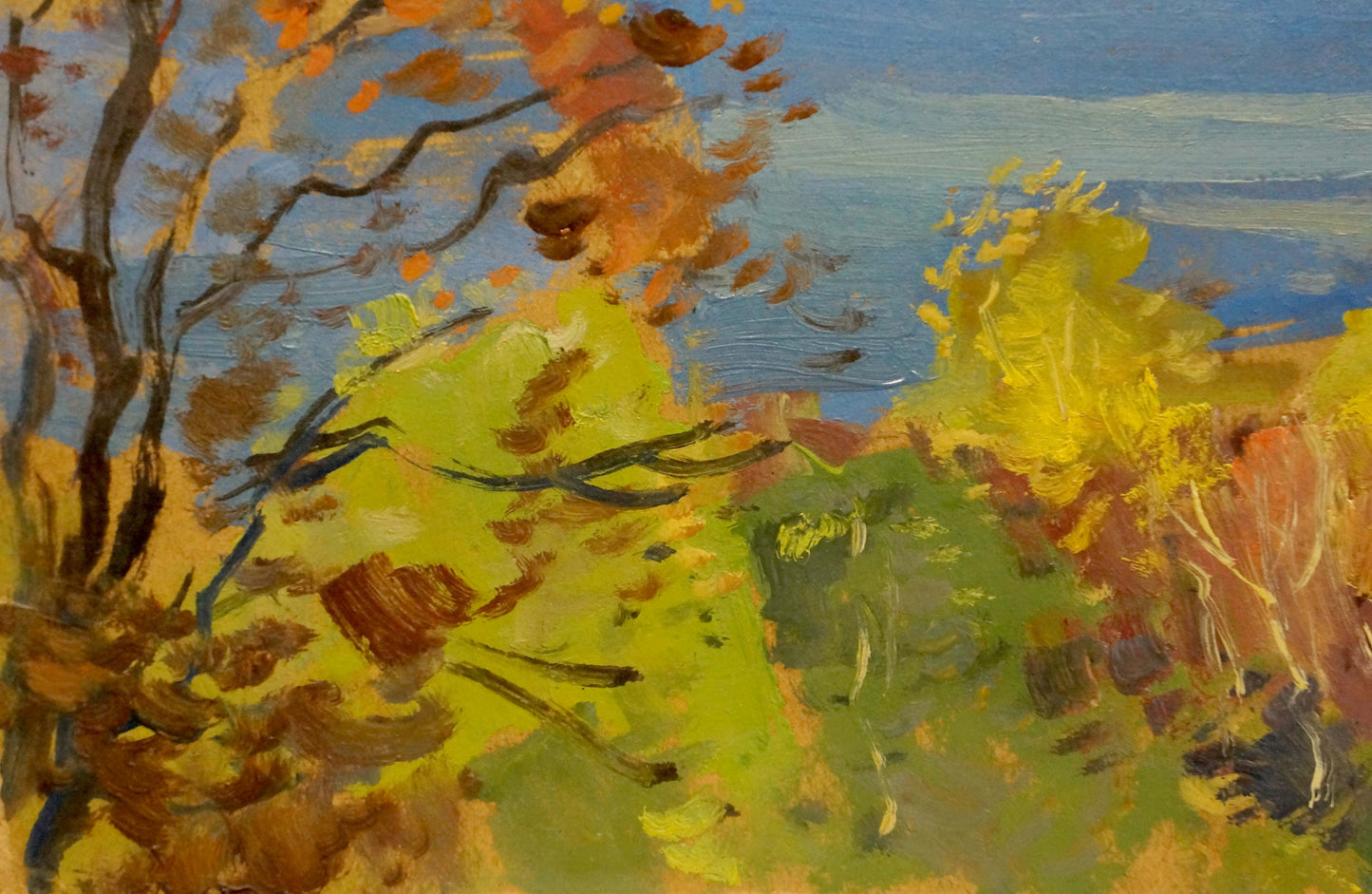 Oil painting River landscape Buryachok Nikolay Ivanovich