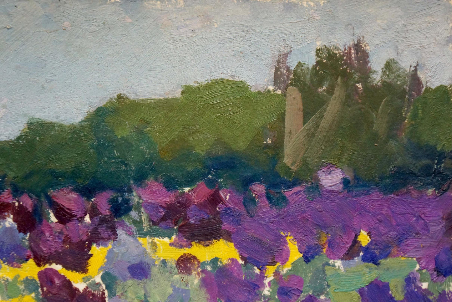 Oil painting Flower field Pokulity Konstantin Ivanovich
