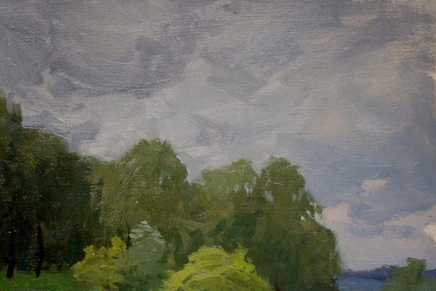 Oil painting Before the rain Gaiduk Viktor Kirillovich