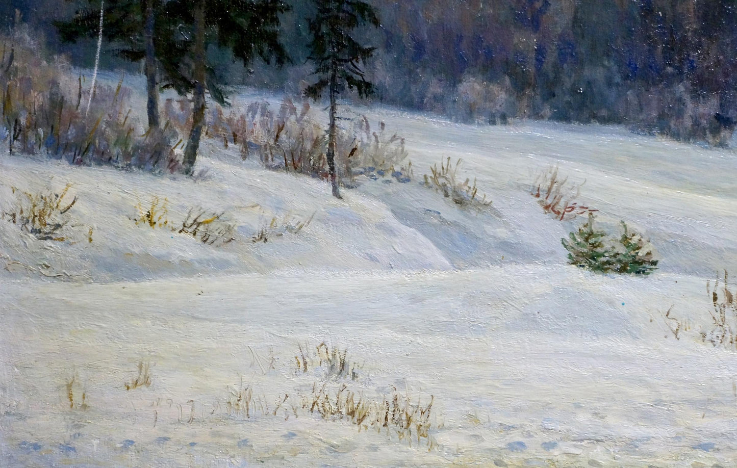 Oil painting Forest landscape Starshinov V. V.