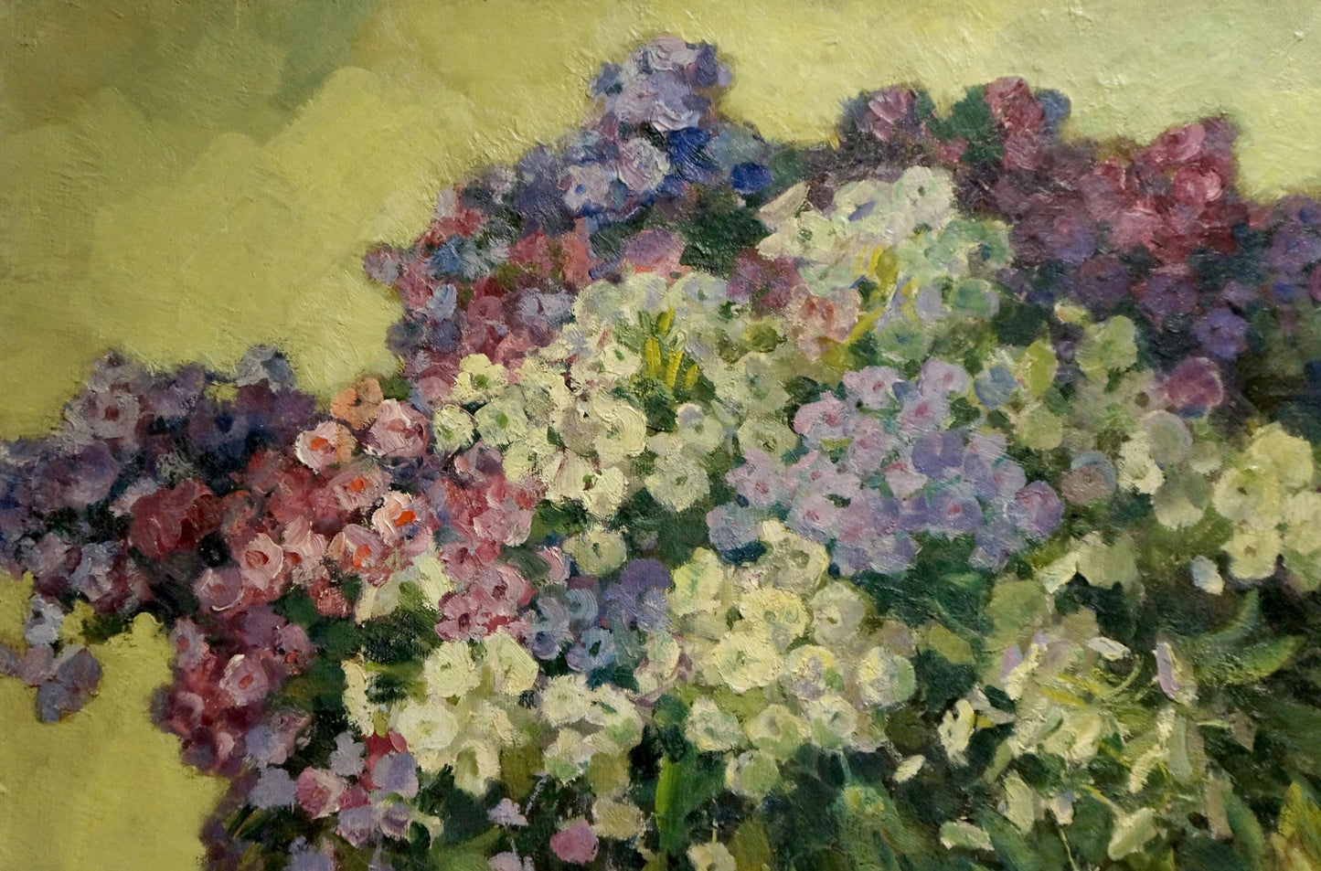 Oil painting Phlox Suponin Petr Mikhailovich