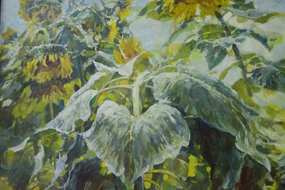 Oil painting Sunflowers are growing Sidoruk Vladimir Fedorovich