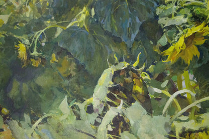 Oil painting Sunflowers are growing Sidoruk Vladimir Fedorovich