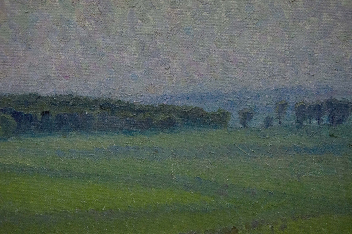 Oil painting Fields Romanishin Mikhail Nikolaevich