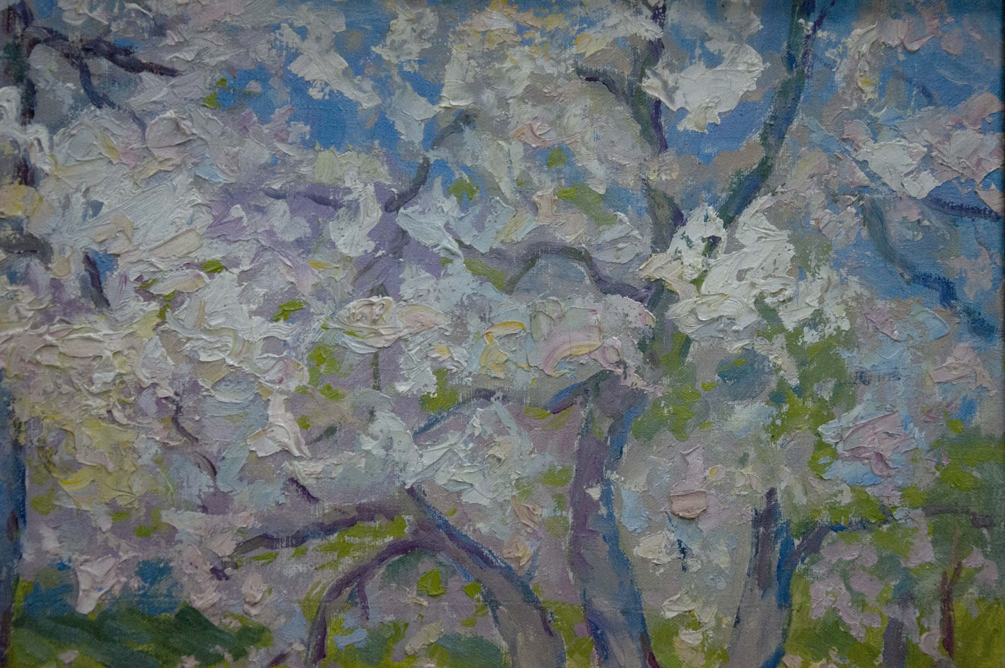 Oil painting Trees are blooming Kogan-Shats Matvey Borisovich