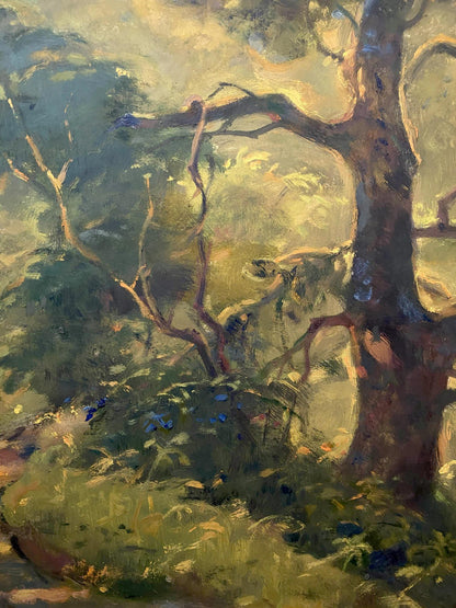 summer forest landscape