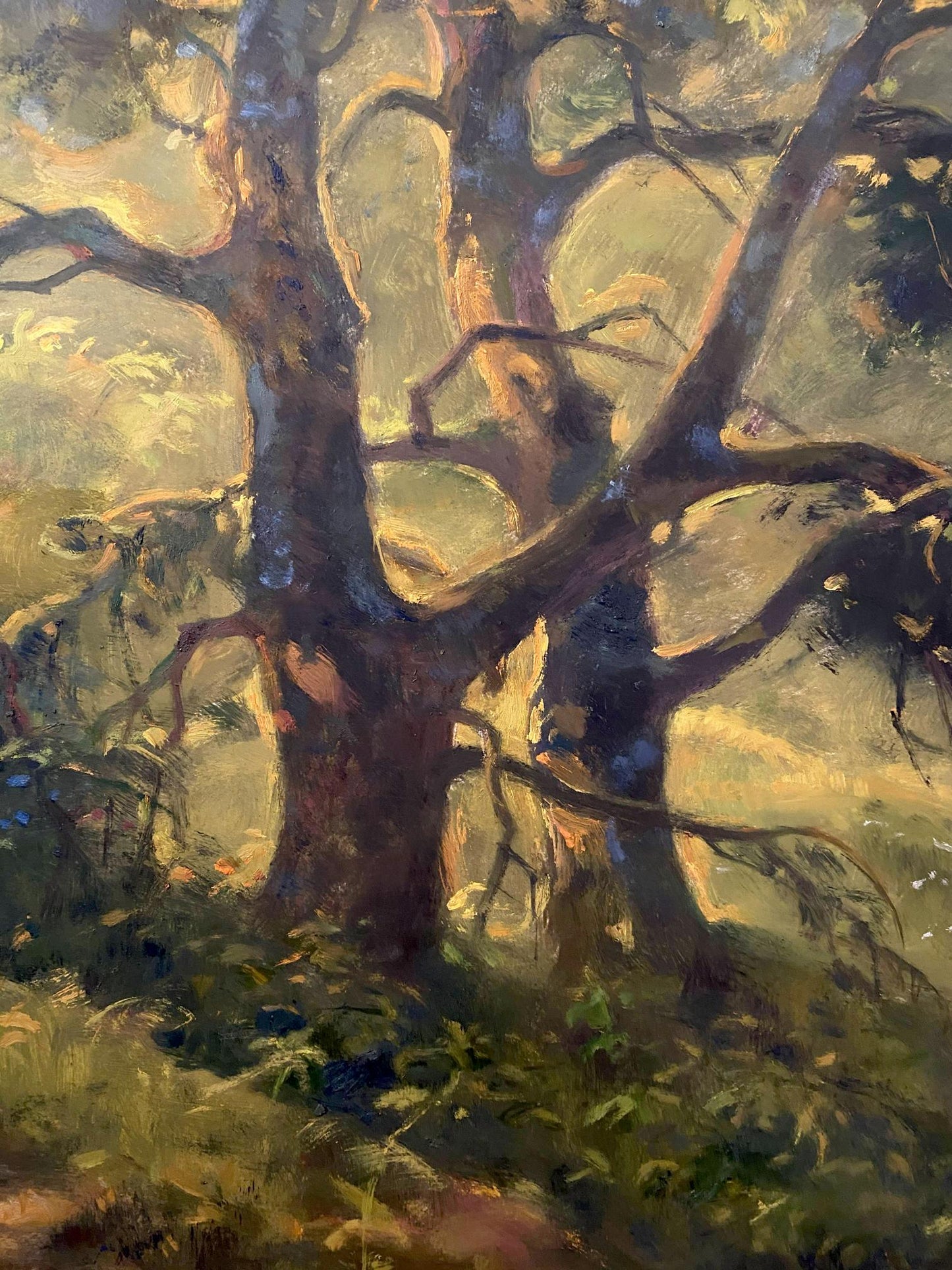 forest painting