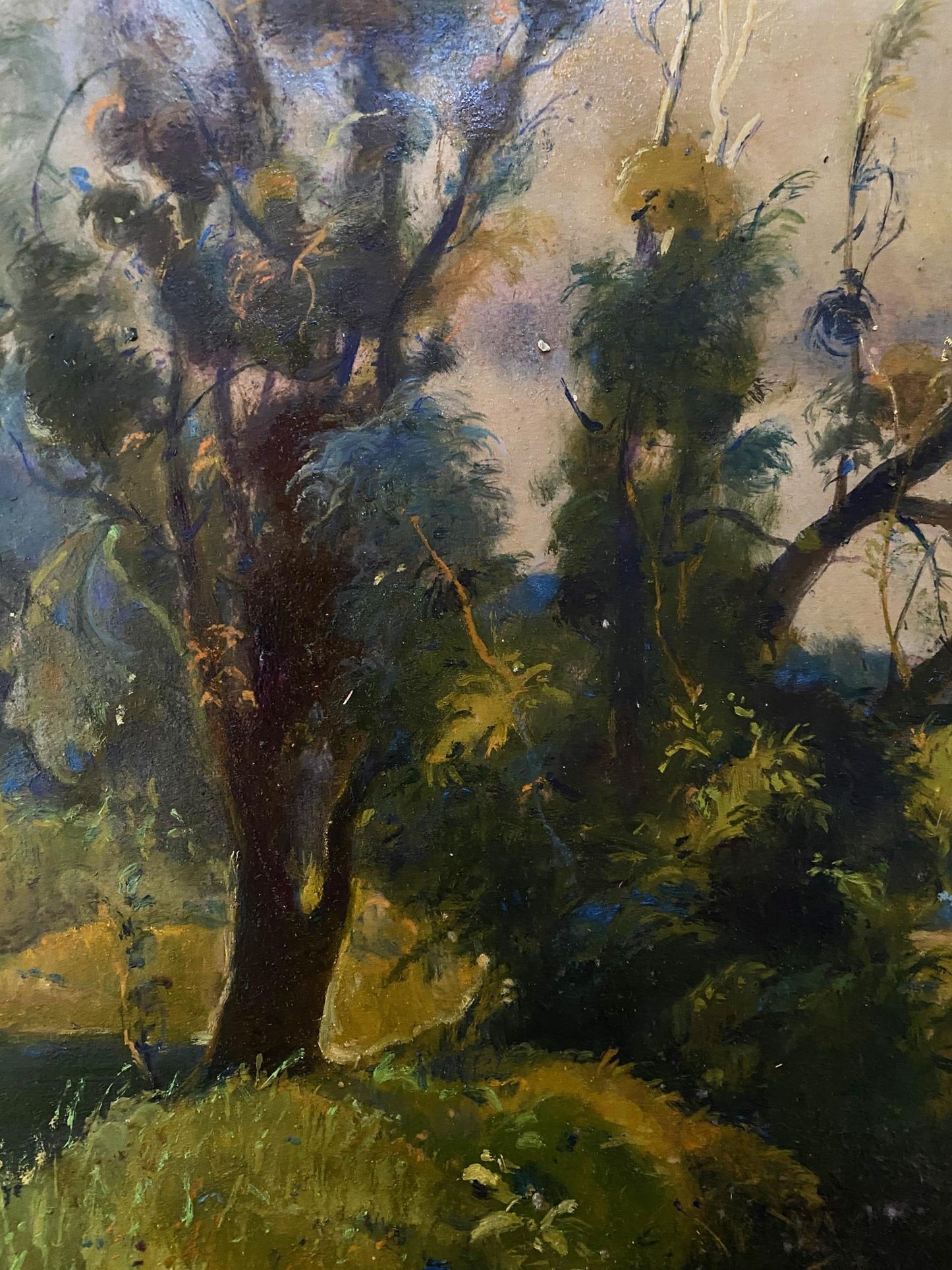 forest landscape