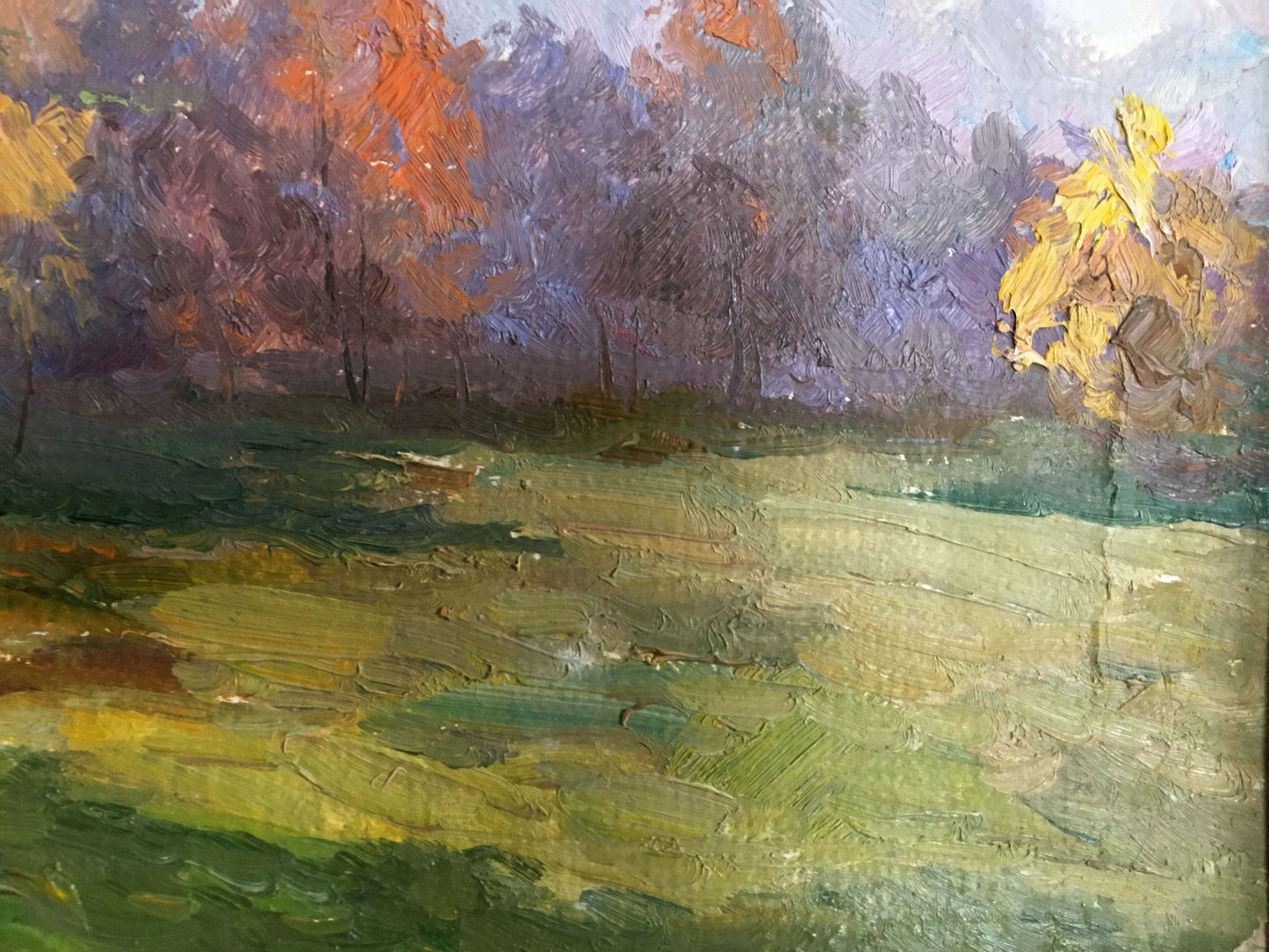 Oil painting Autumn landscape Priyezzhev Boris Andrianovich