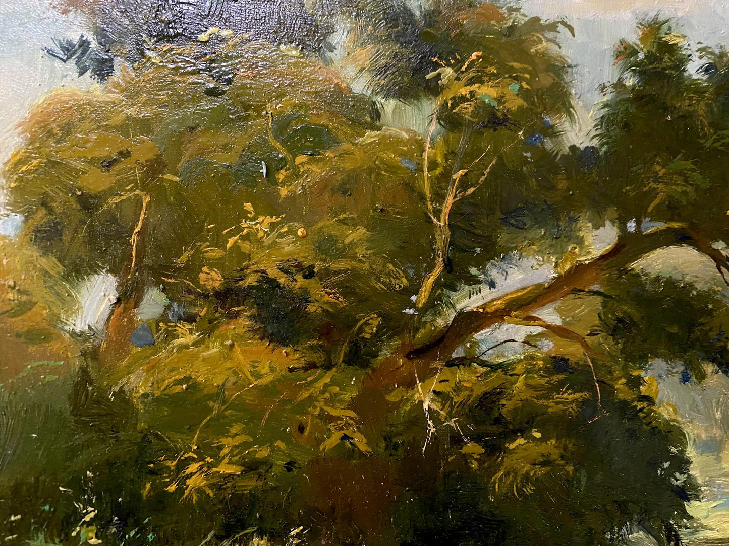 oil forest landscape