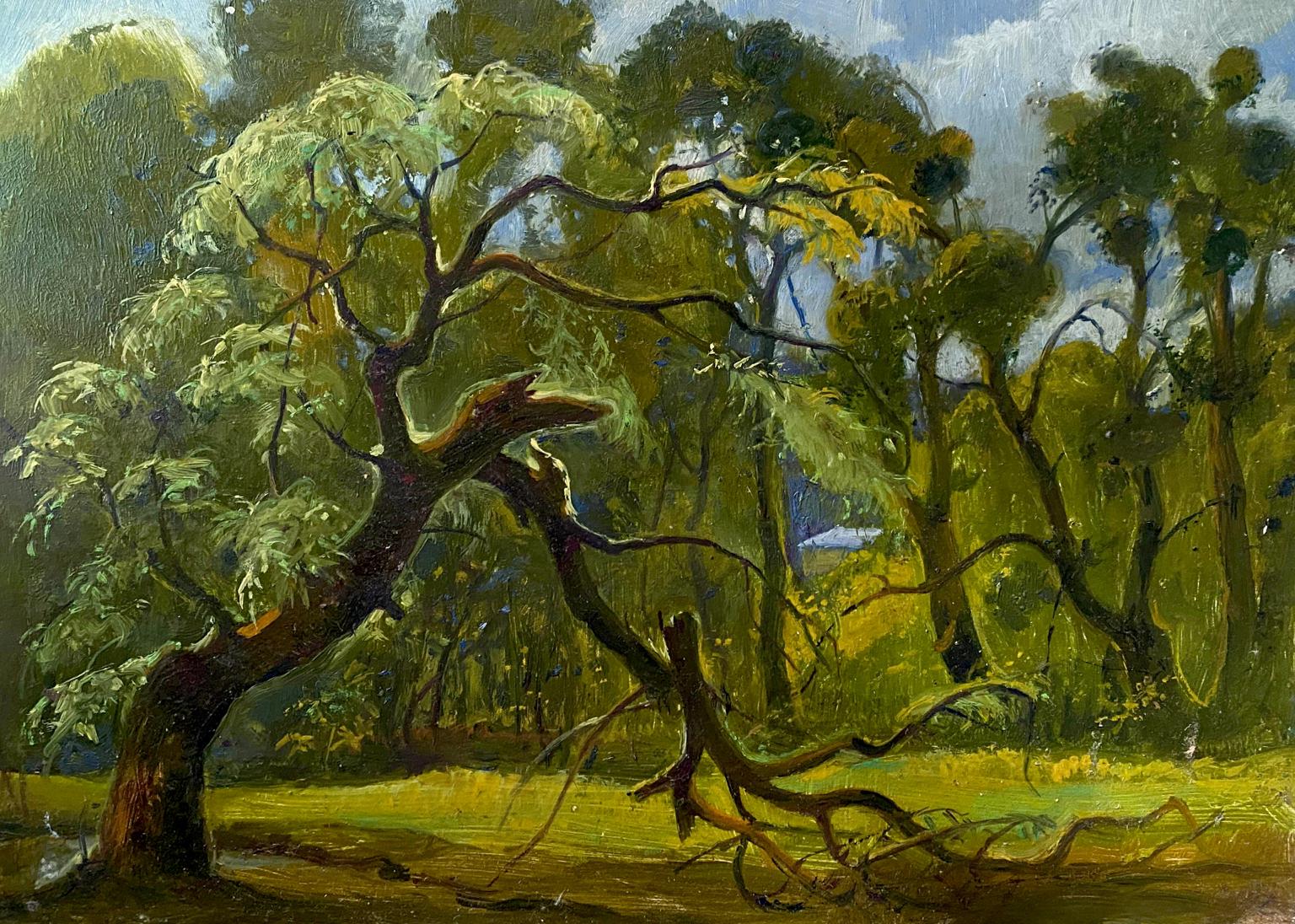 Oil painting Broken tree buy