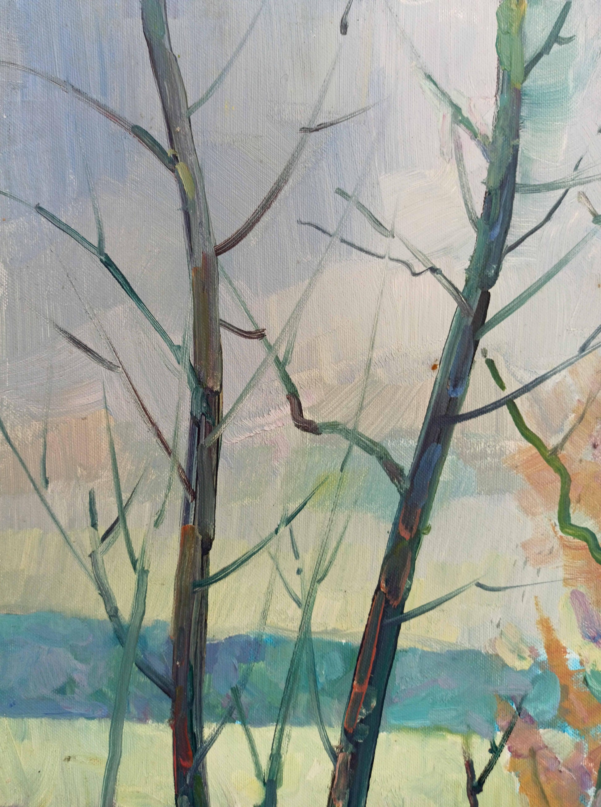 Peter Dobrev's oil painting depicts a spring landscape