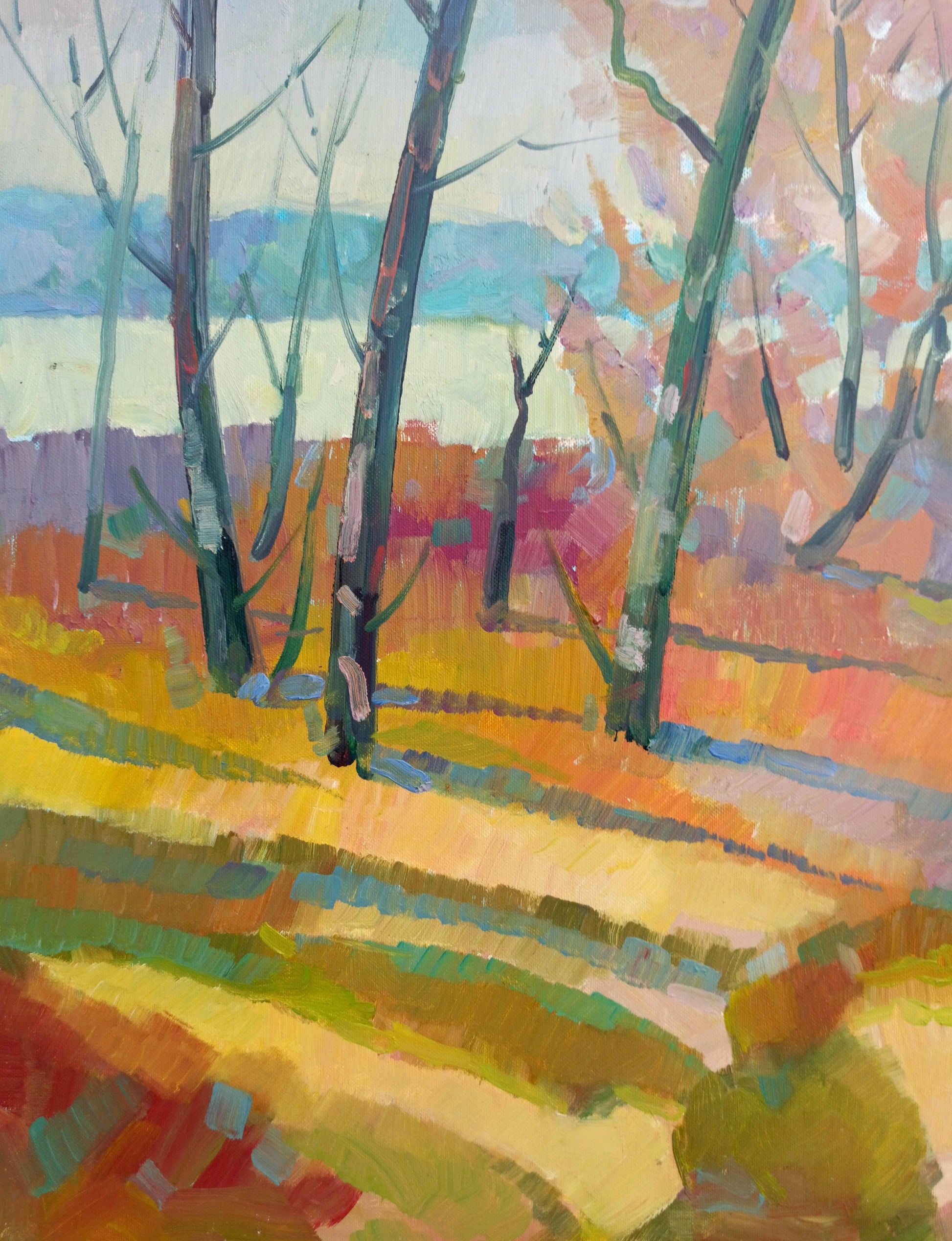 A spring landscape is captured in Peter Dobrev's oil painting