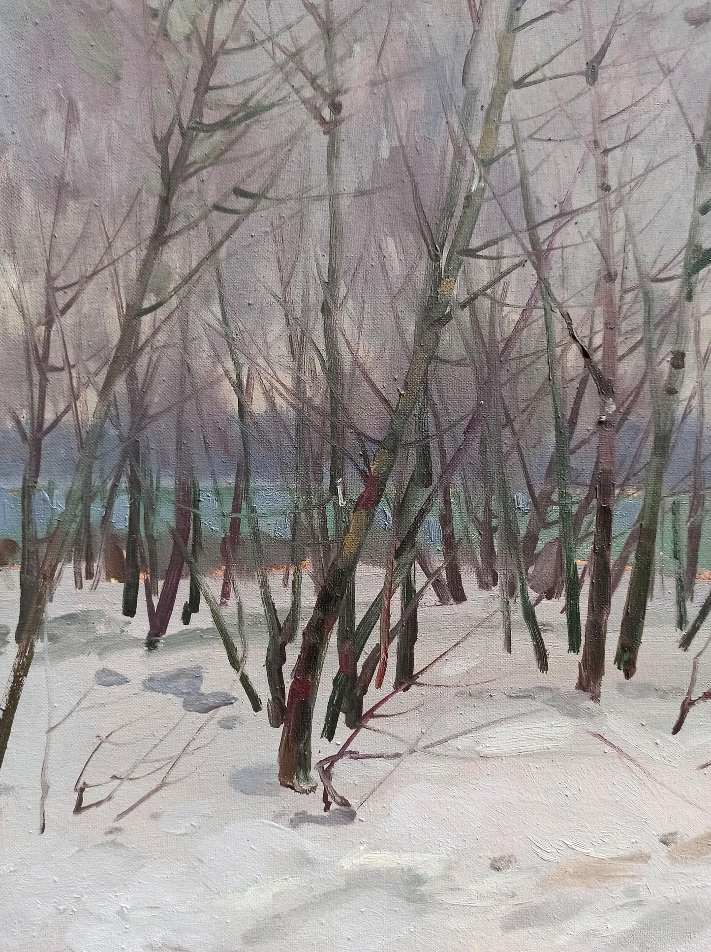 Winter Forest Landscape 