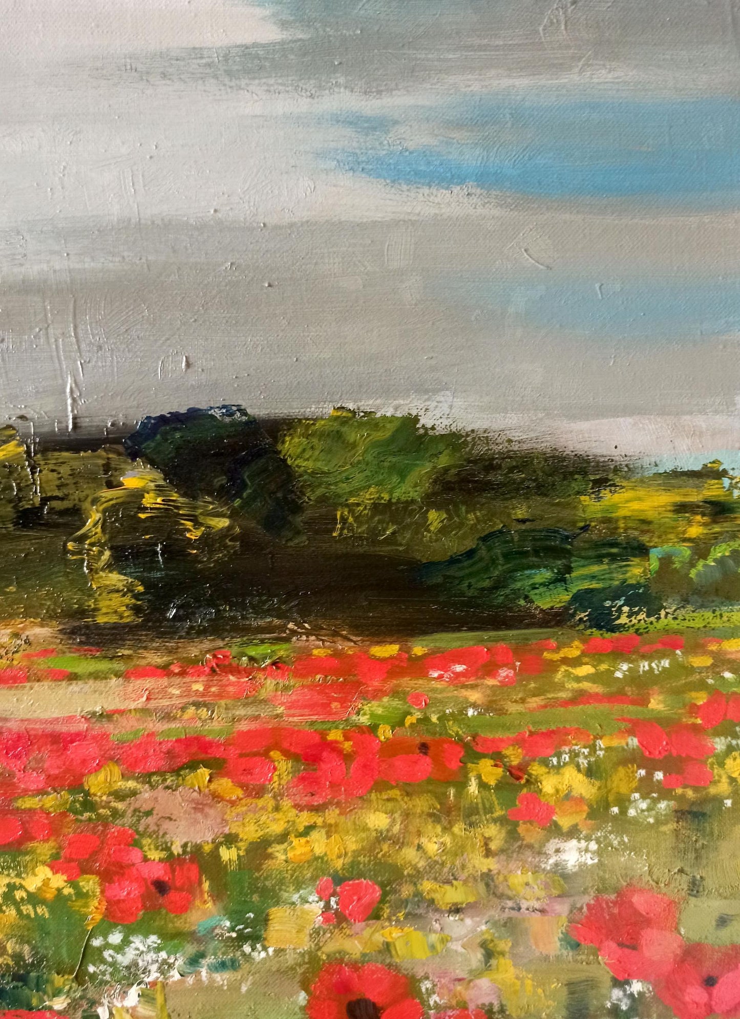 Oil painting Poppy field Anatoly Borisovich Tarabanov