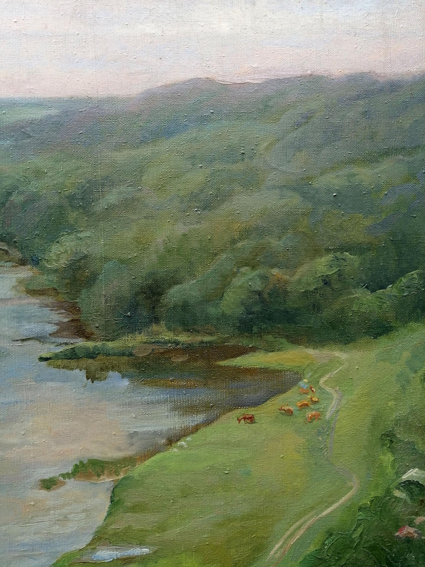 Oil painting cattle on the bank of the river Babentsova Olena Viktorivna