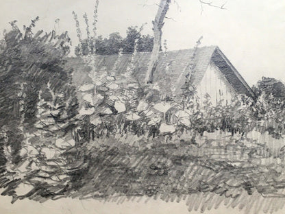 Pencil painting The garden near the house is overgrown Dmitry Lednev