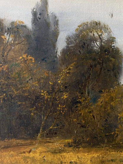 autumn landscape forest