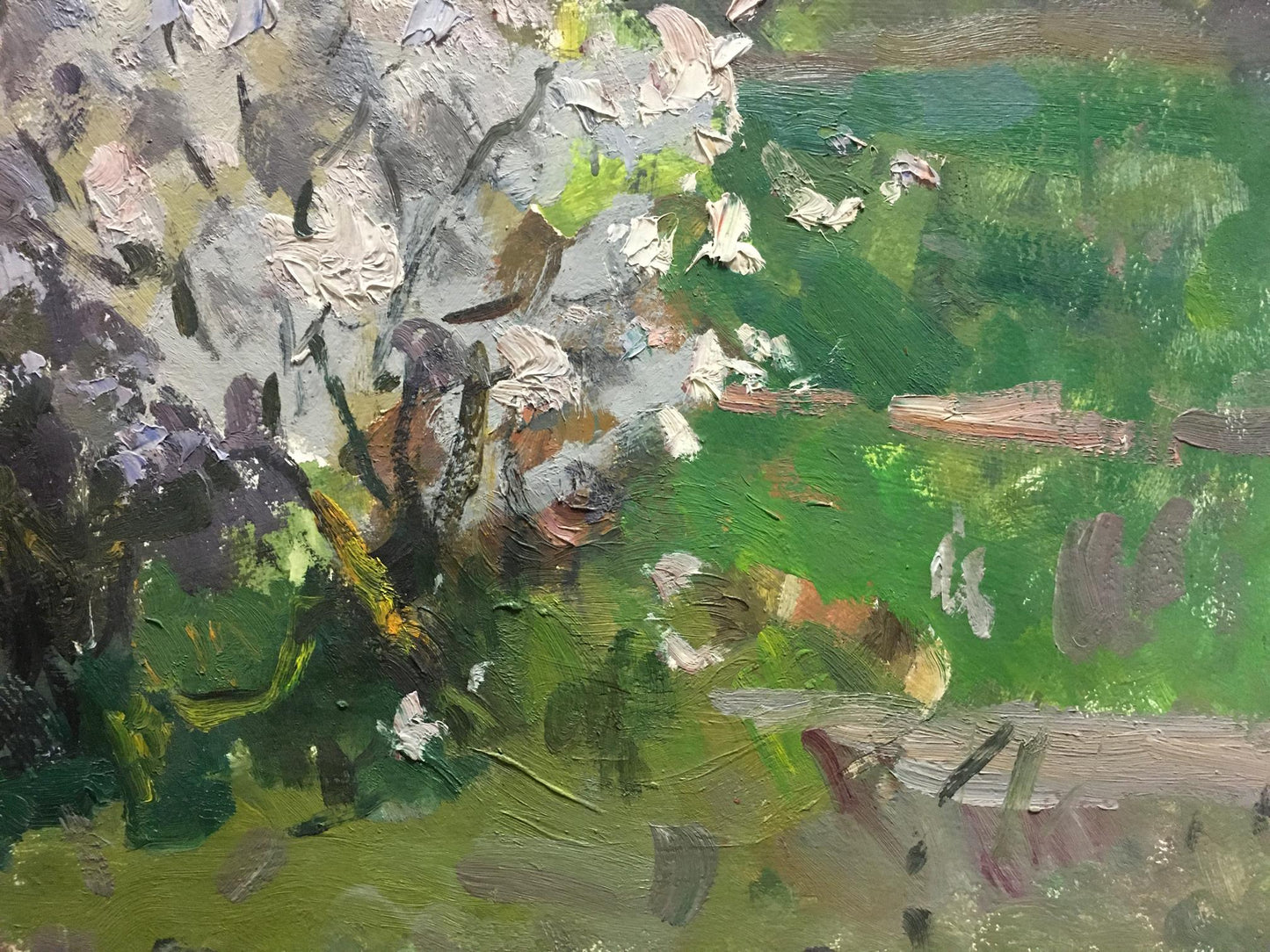 Oil painting Blooming tree Golub Stepan Filippovich