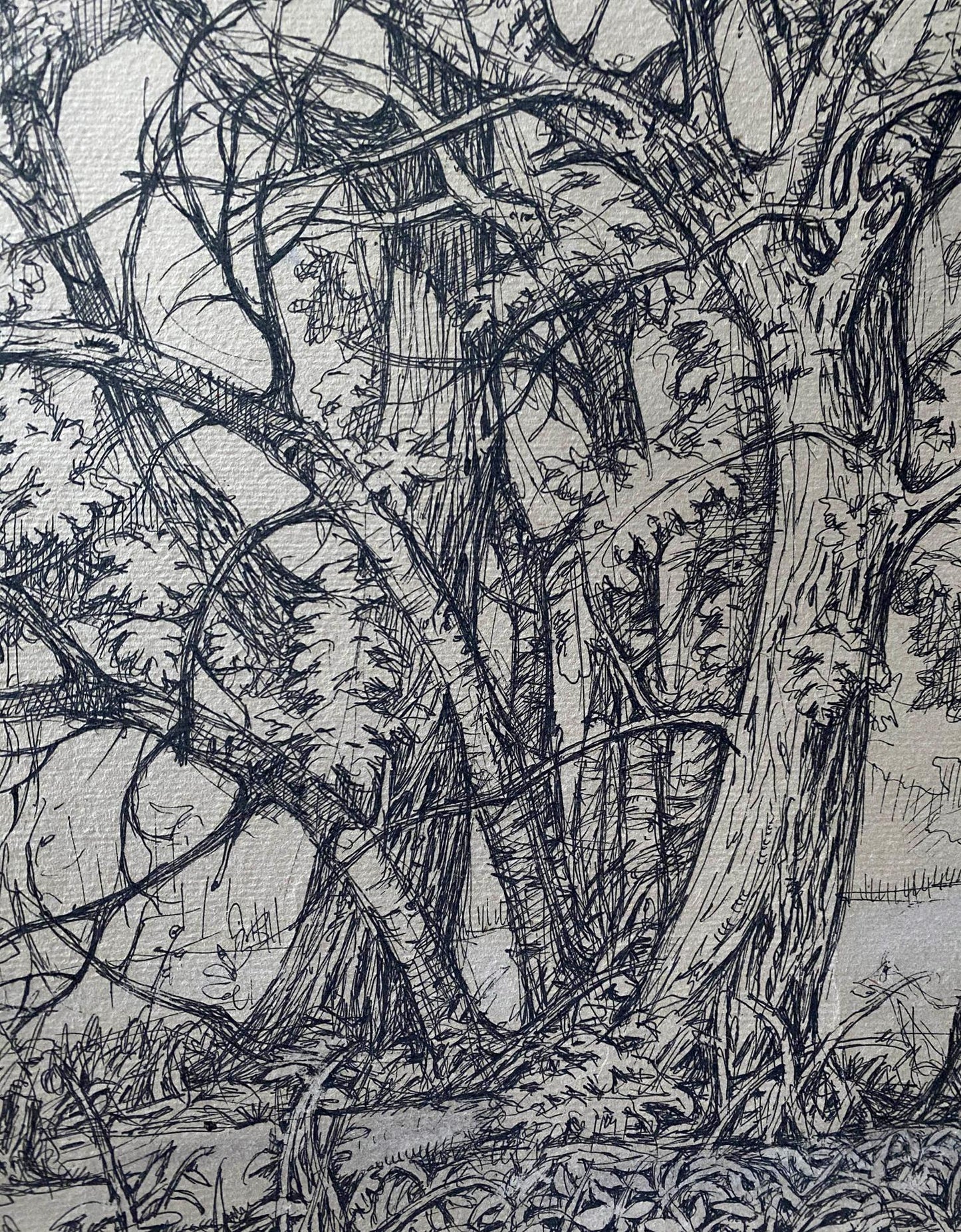 Ink painting Trees Litvinov Oleg Arkad'yevich