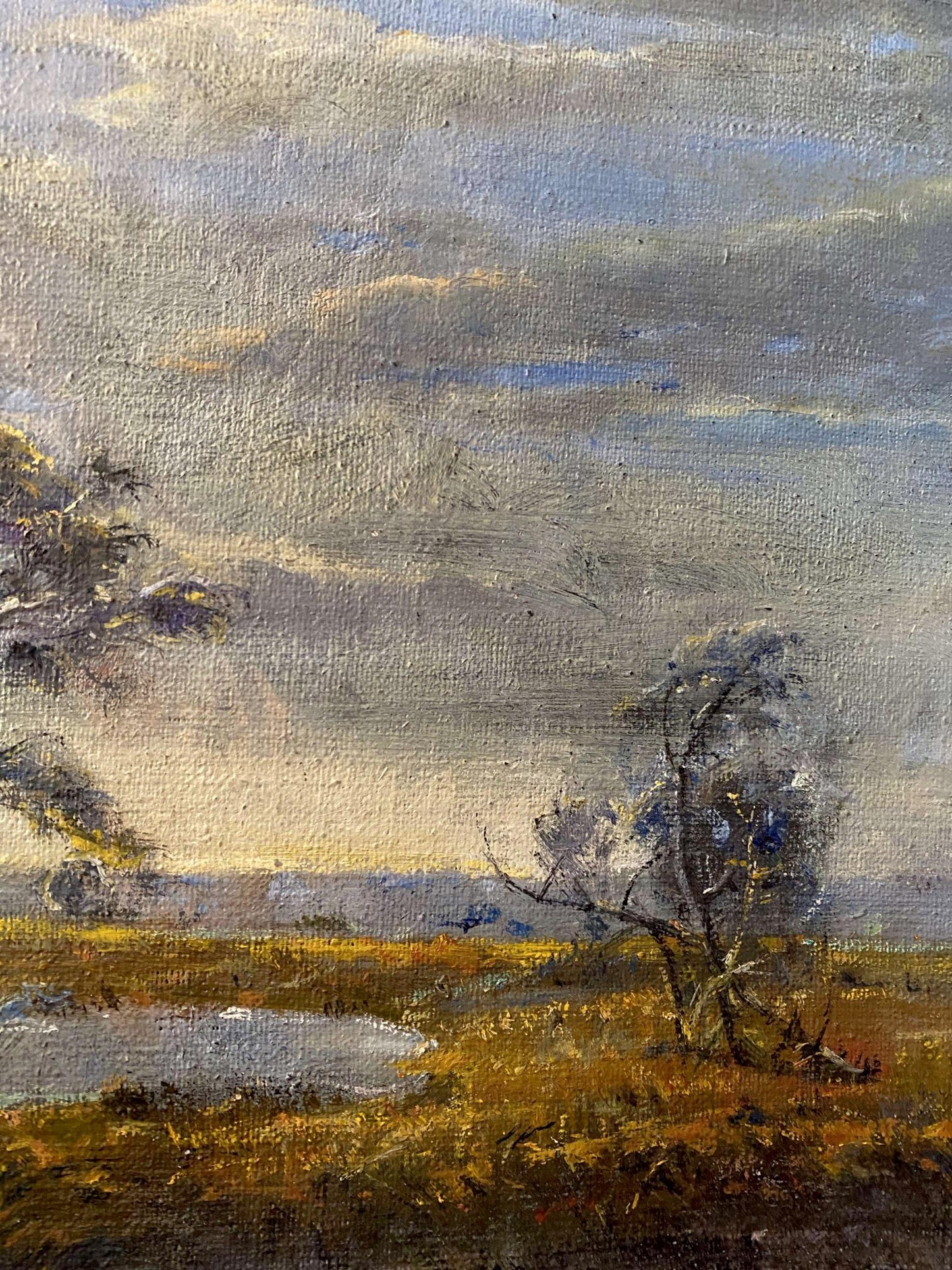 Oil painting Cloudy, before a thunderstorm Litvinov Oleg Arkad'yevich