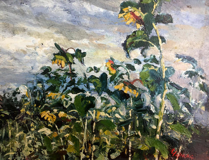 Oil painting Landscape with sunflowers Cherkas A .G.