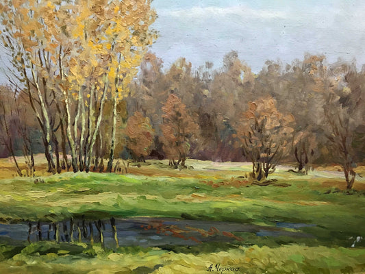 Oil double painting Contrast of autumn and spring A. Cherkas