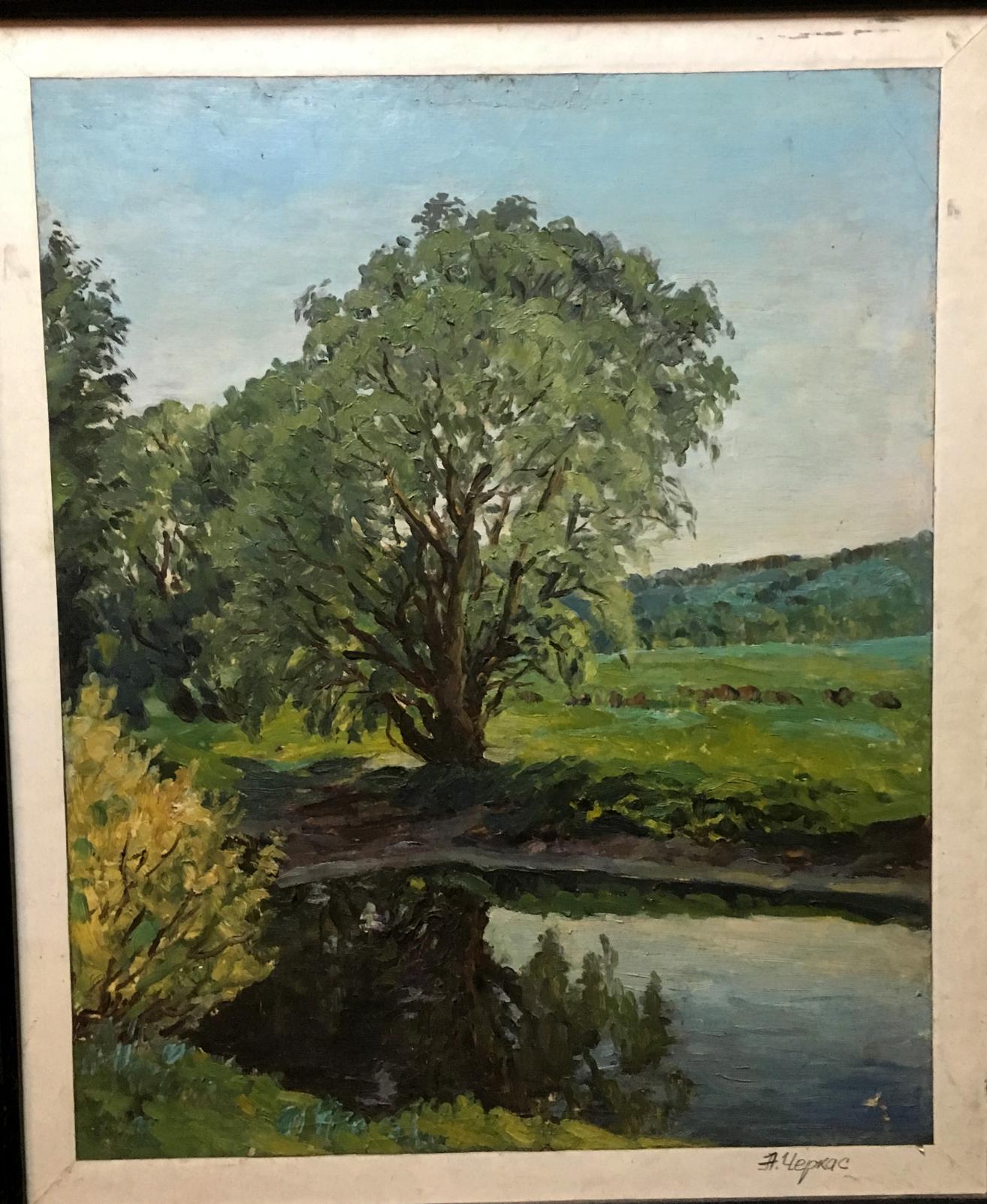 Oil painting Tree pond Alexander Georgievich Cherkass