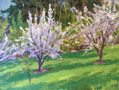 Oil painting Trees bloom Chernikov Vladimir Mikhailovich