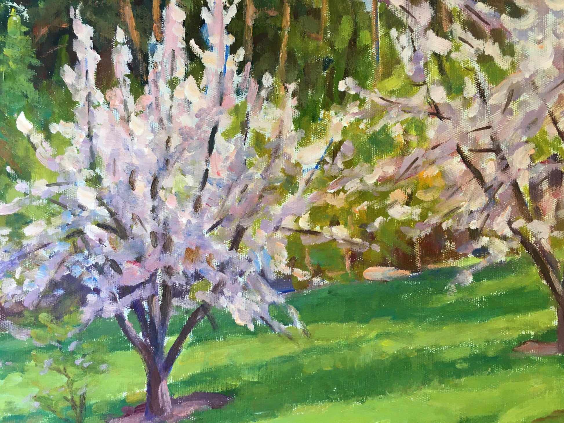 Vladimir Mikhailovich Chernikov's oil painting Trees Bloom
