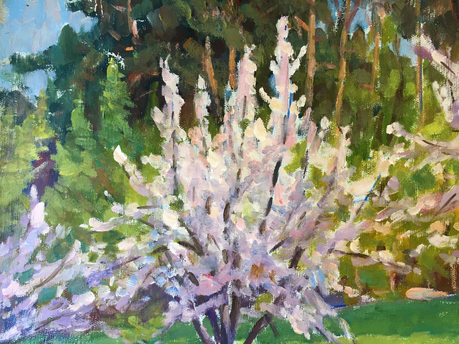 Trees Bloom oil painting by Chernikov Vladimir Mikhailovich