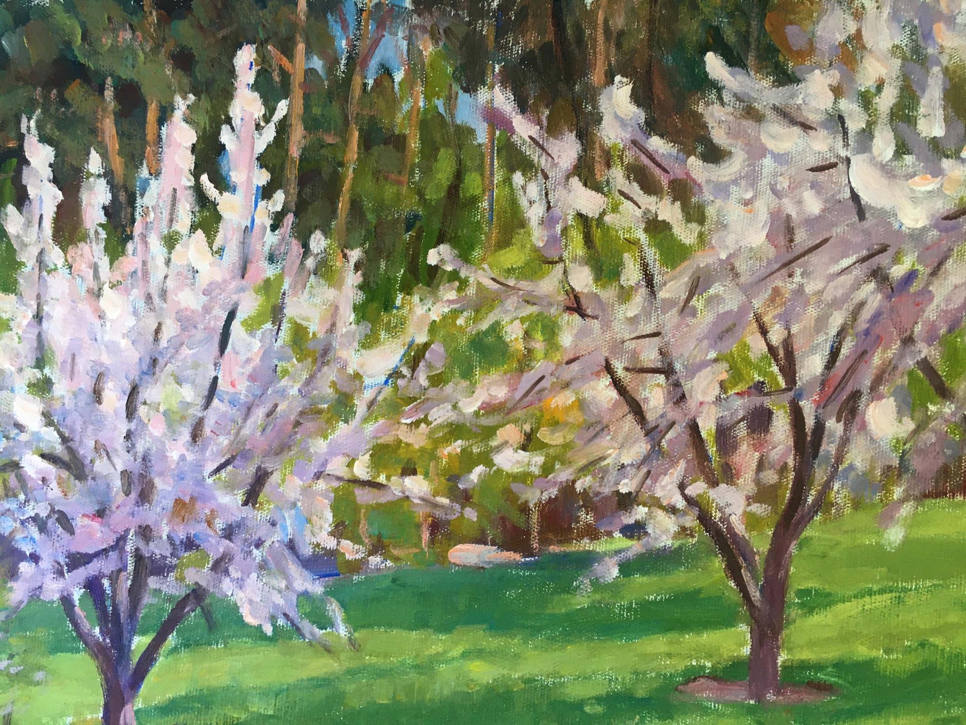 Trees Bloom painted in oil by Vladimir Mikhailovich Chernikov