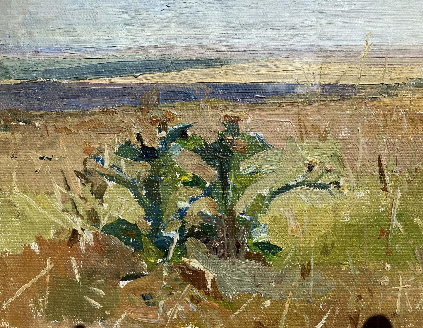 Oil painting Field M.V. Naumenko