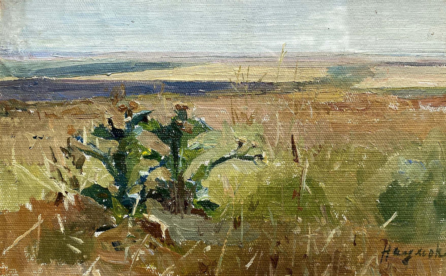 Oil painting Field M.V. Naumenko