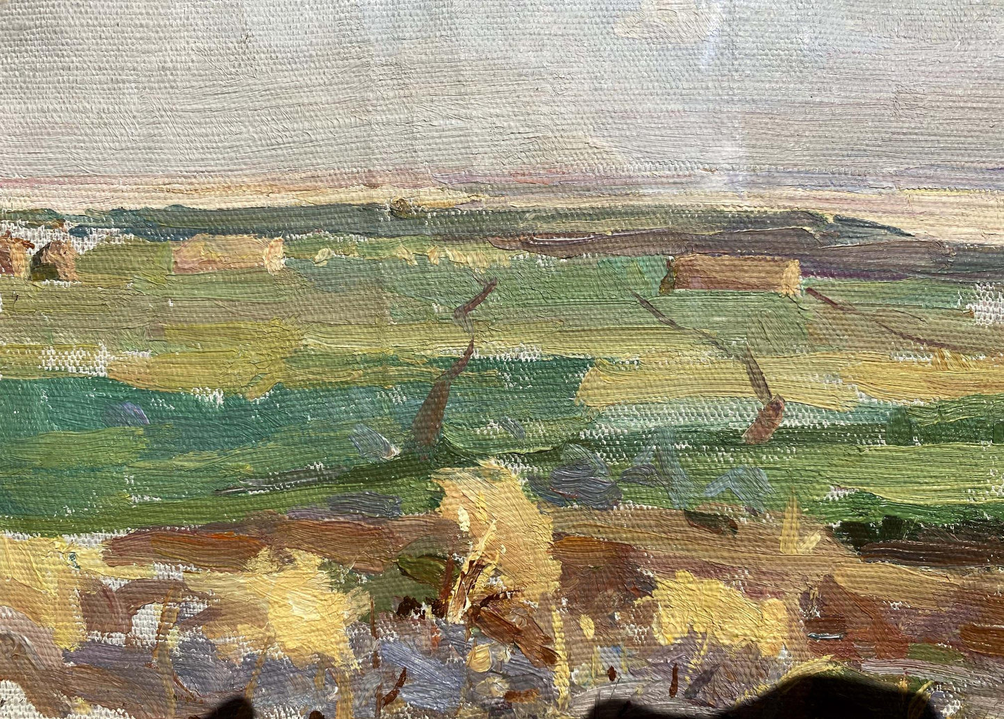 Oil painting Field landscape M.V. Naumenko