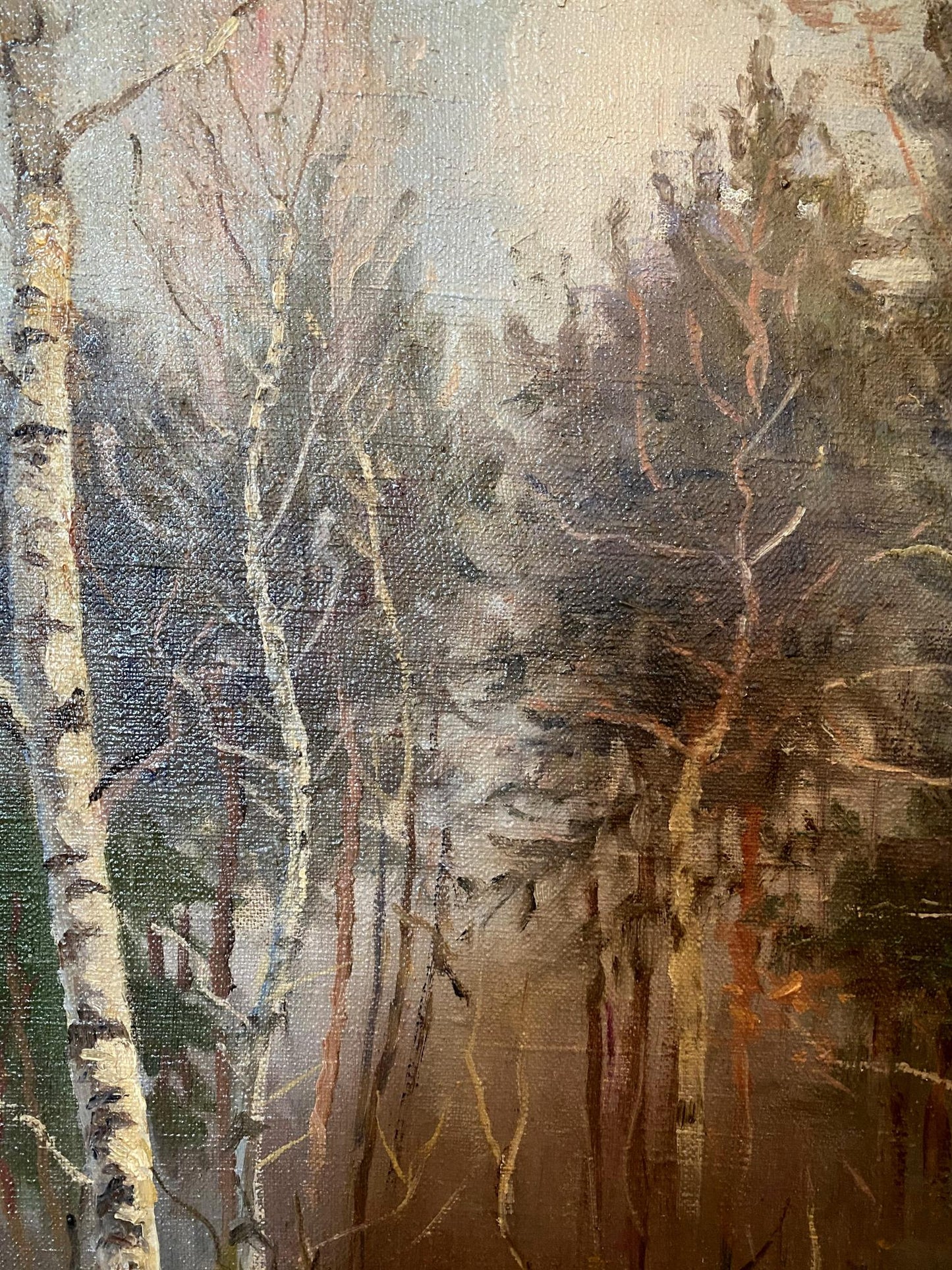 Oil painting Sun rays in the forest Glushchenko Nikolai Petrovich