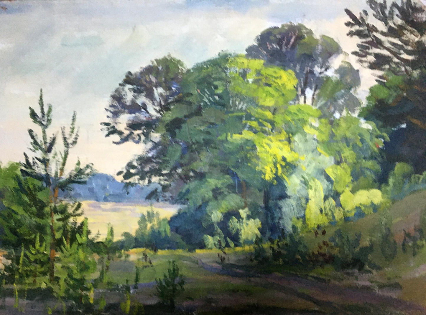 Oil painting Forest Lednev Eduard Dmitrievich