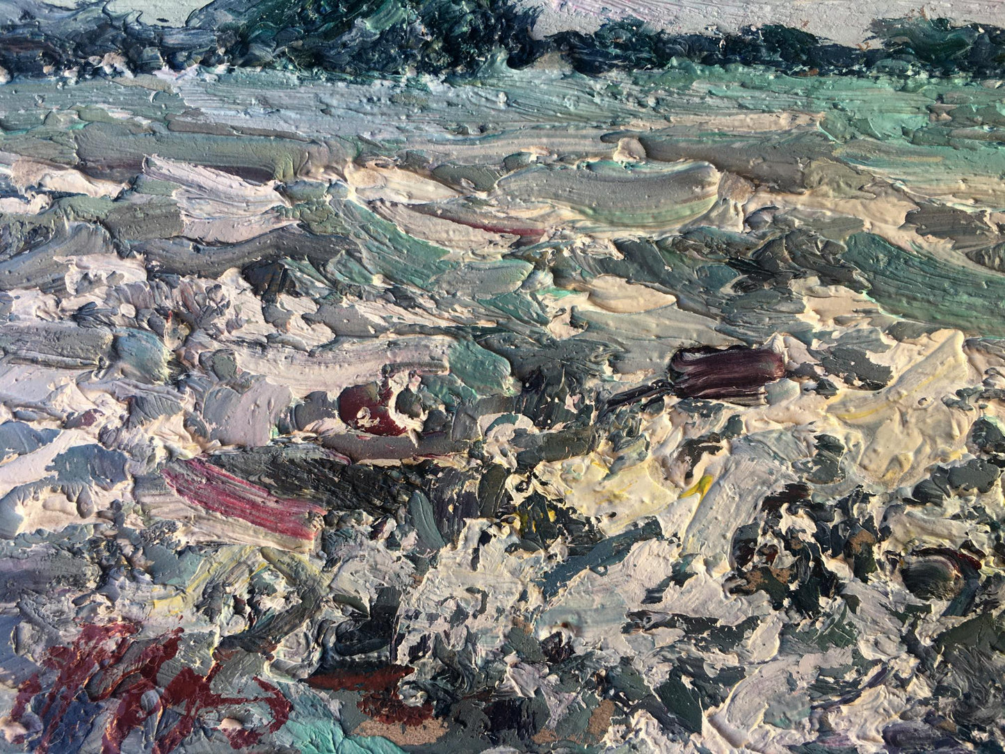 Oil painting Сamomile field Alexander Nikolaevich Cherednichenko