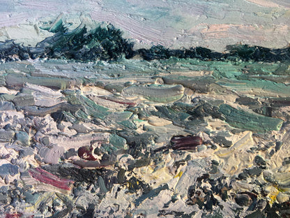 Oil painting Сamomile field Alexander Nikolaevich Cherednichenko