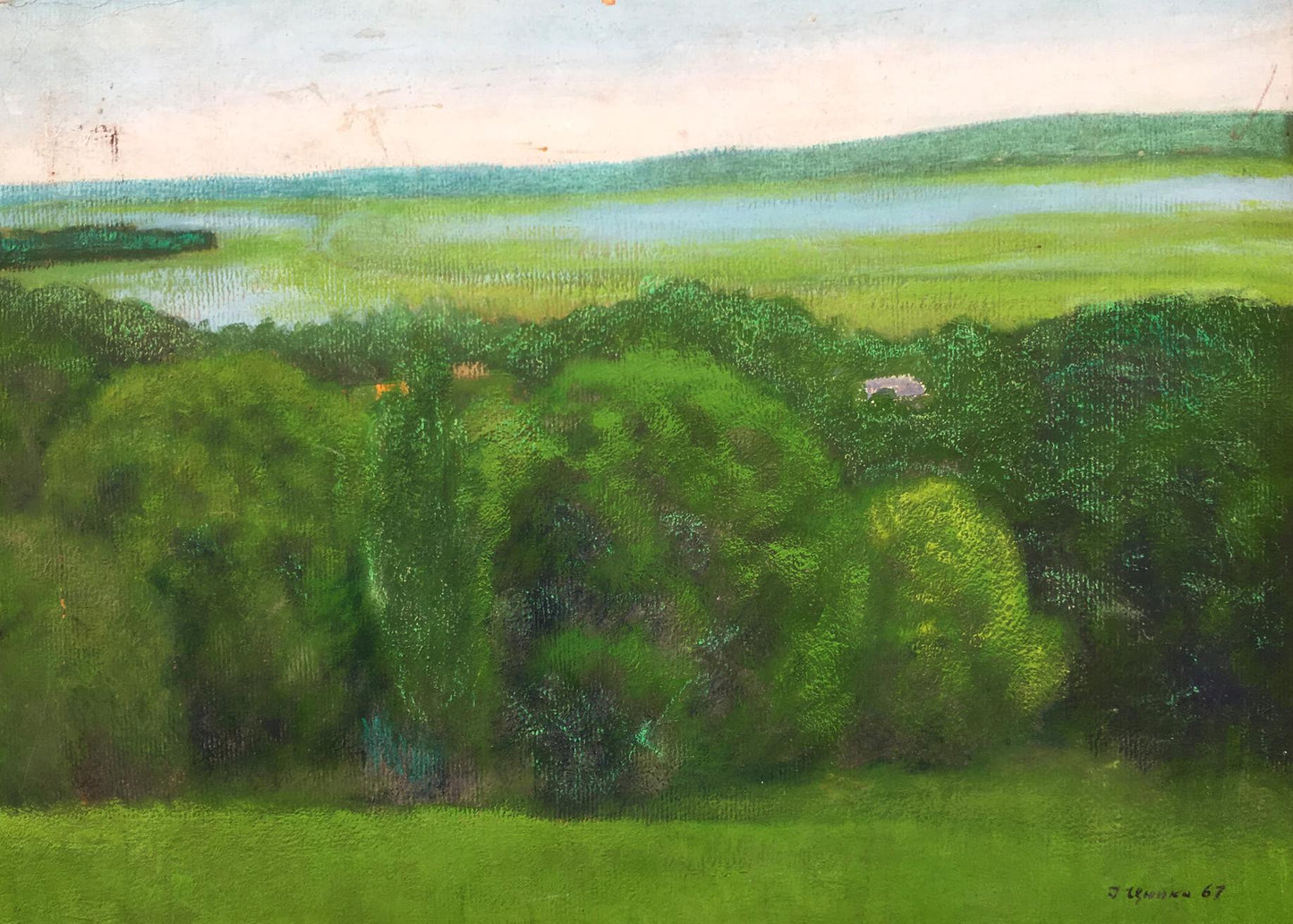 Oil painting Lush trees Ivan Kirillovich Zyupka